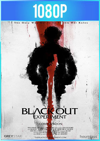 El experimento del apagon 2021 ES EN